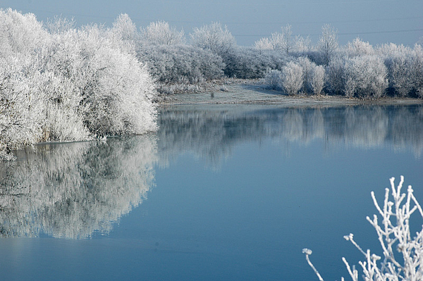 Wir wollen den Hollerner See naturnah erhalten. Wir wollen den Hollerner See naturnah erhalten.